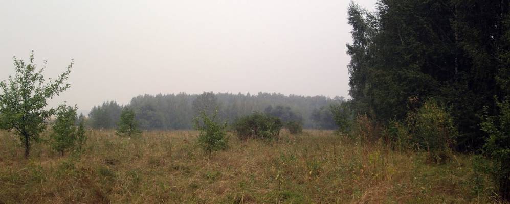 
            Фотография Нелиной Слободы