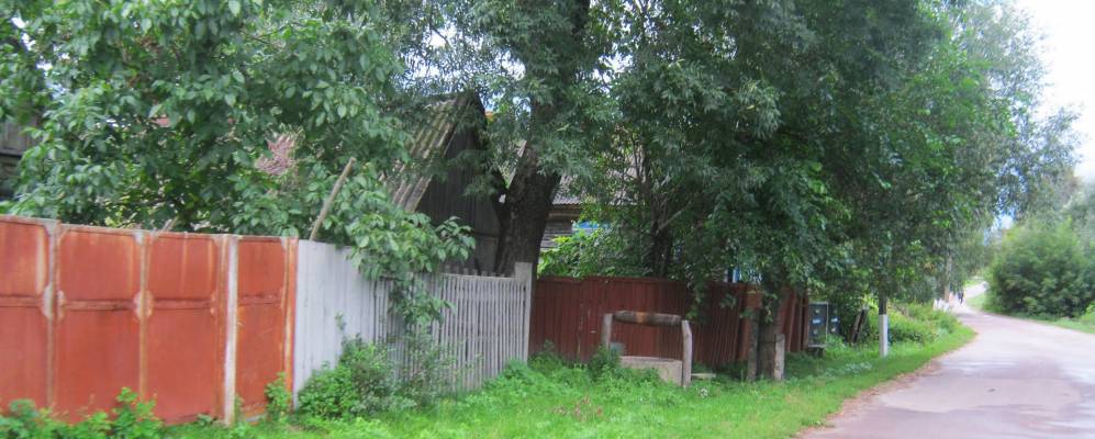 Фотография Деревины