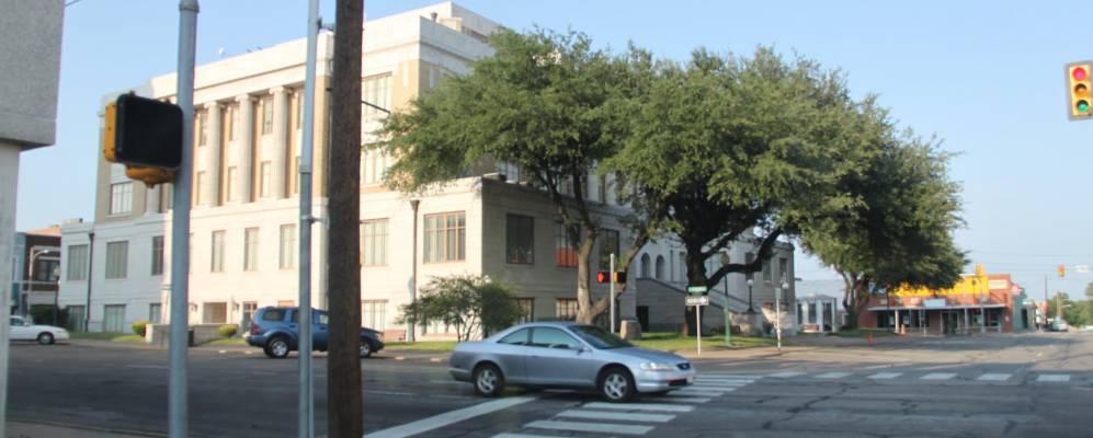 
            Фотография Гринвилл