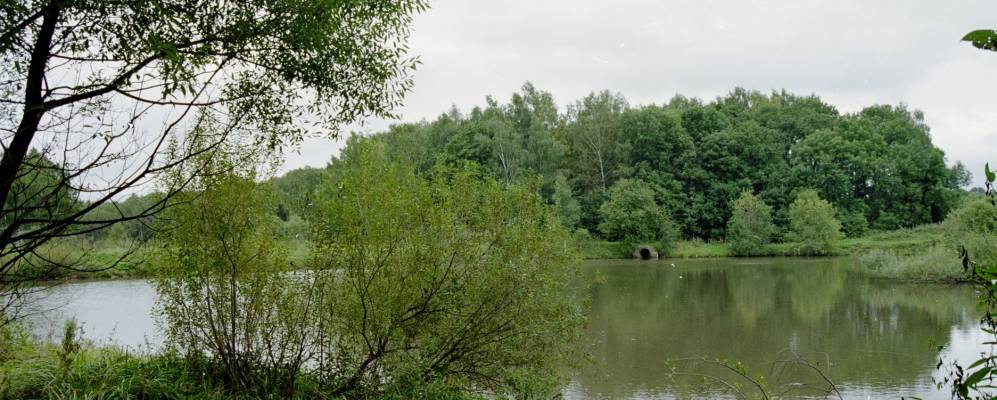 Фотография деревни Комарёнки