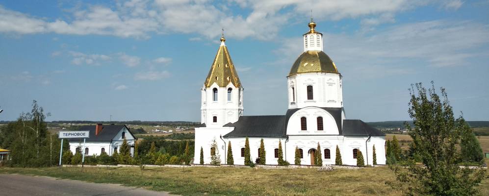 
            Фотография Тернового