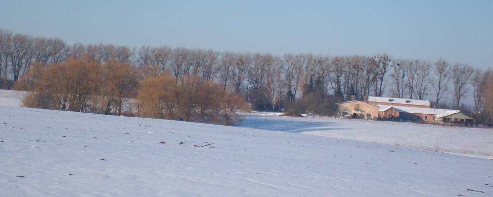 
            Фотография Плесны