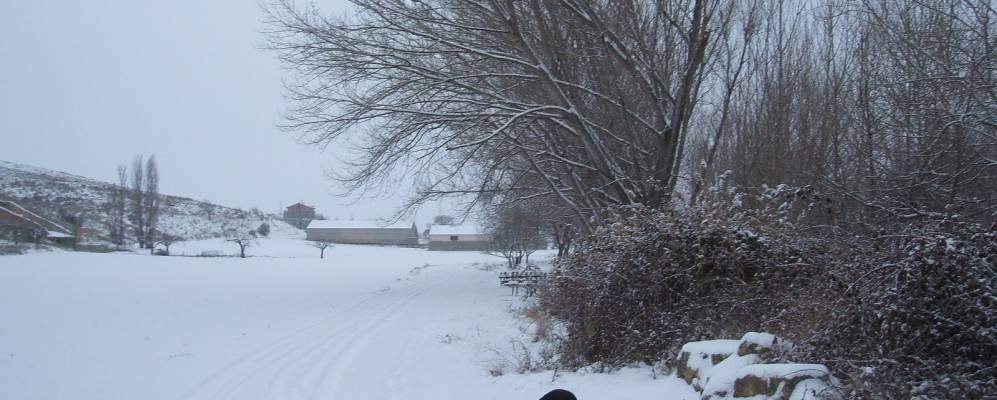 
            Фотография Романонес