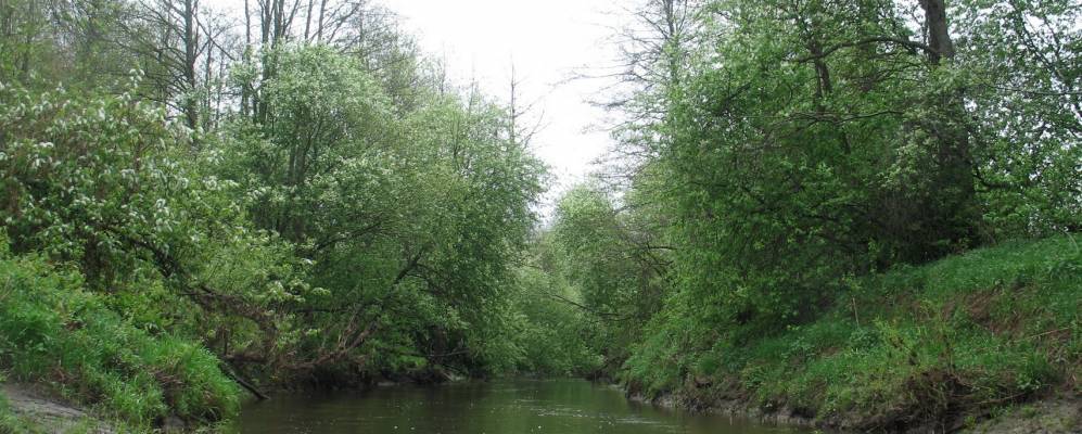 
            Фотография Мымрино