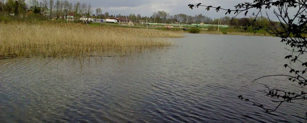 
            Фотография Семеново