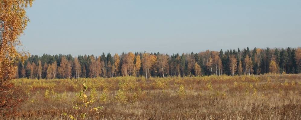 Фотография Бабцыно