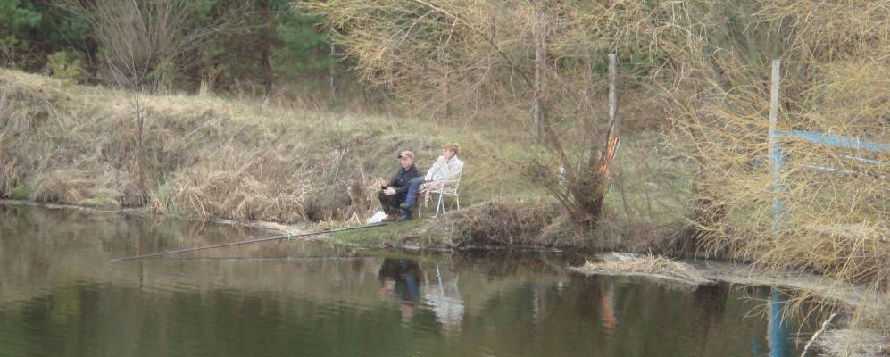 
            Фотография Приветного