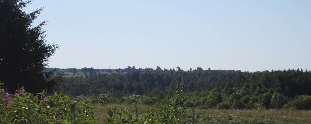 Фотография Шубиных