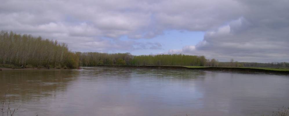 
            Фотография Никитино