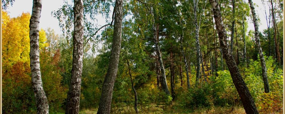 
            Фотография Яськово