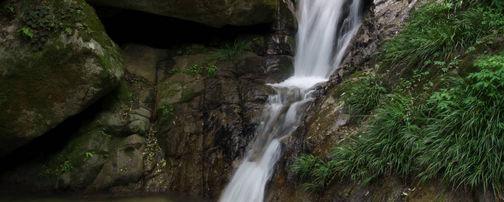 
            Фотография Миядзу