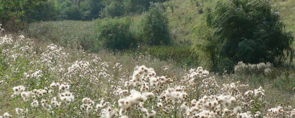 
            Фотография Соколовки