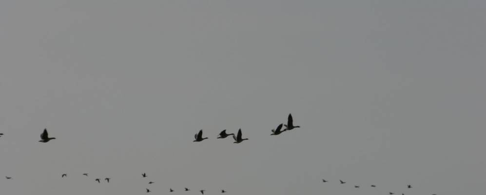 Фотография Вольно-Сухарево