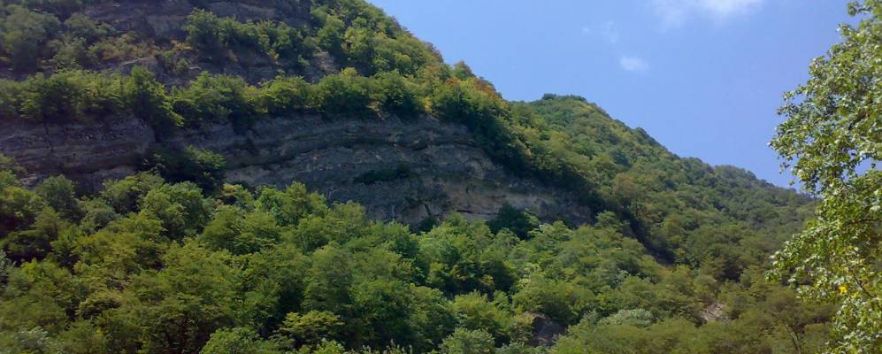 
            Фотография Уджары