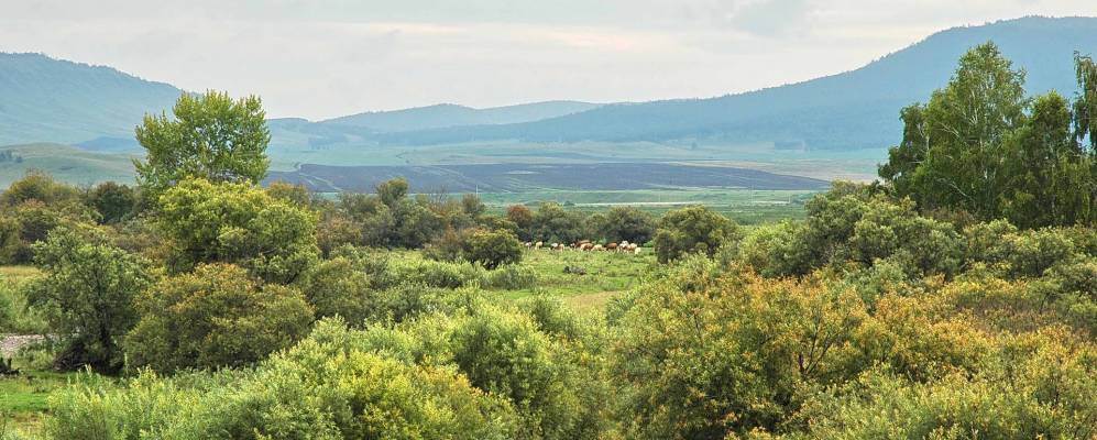 
            Фотография Подкамня