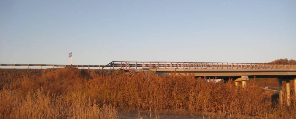 
            Фотография Логового