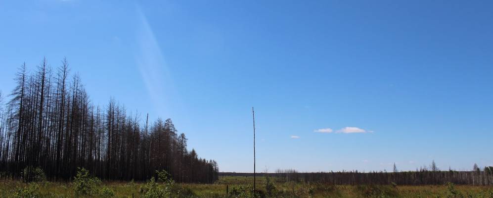 
            Фотография Жарцов