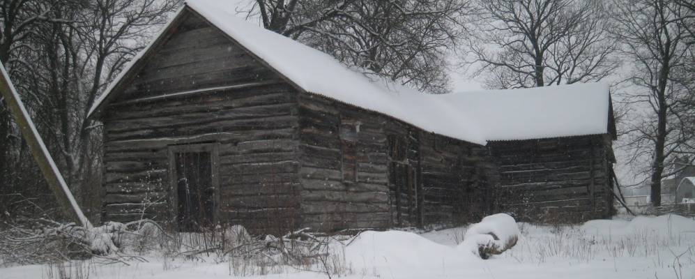 
            Фотография Березовки