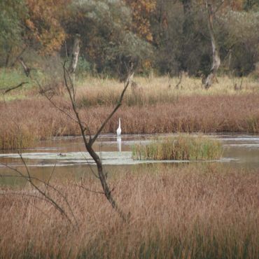 Тисауйварош