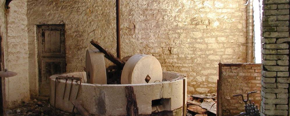 
            Фотография Рипаботтони