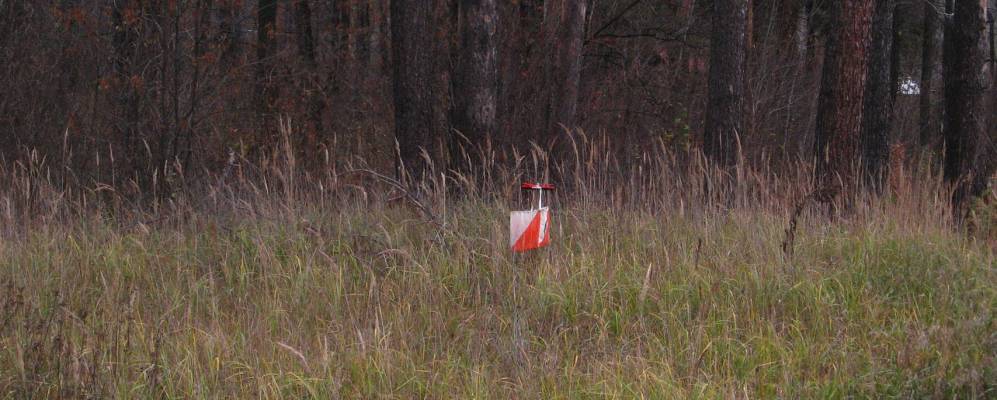 
            Фотография Асеевской