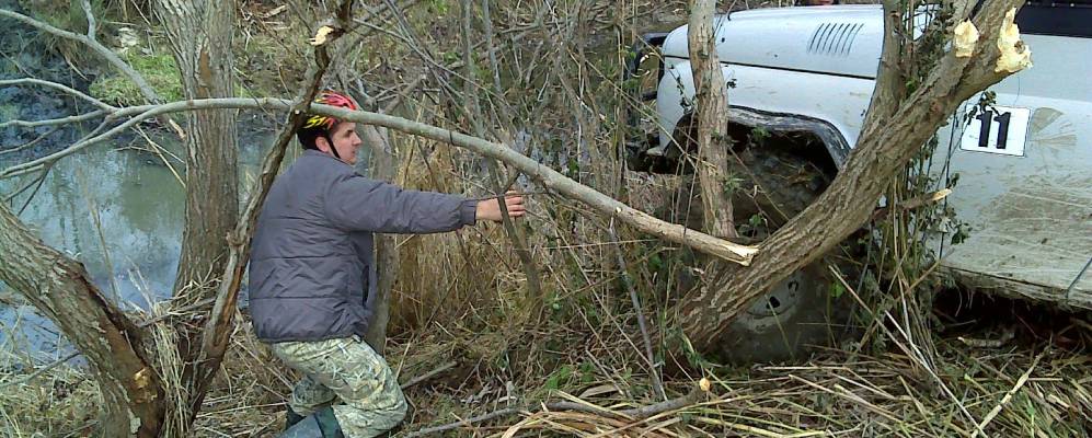 
            Фотография Свободного