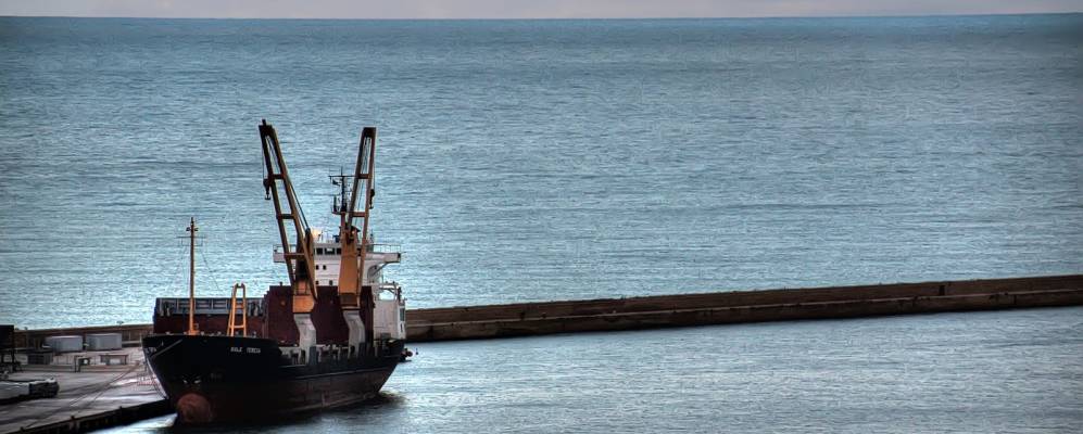 
            Фотография Ортоны