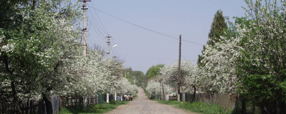 
            Фотография Анновки