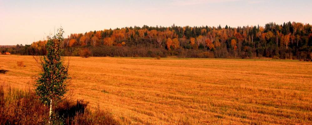 
            Фотография Барановки