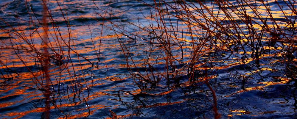 
            Фотография Компиобби