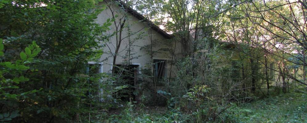 
            Фотография Дибровой