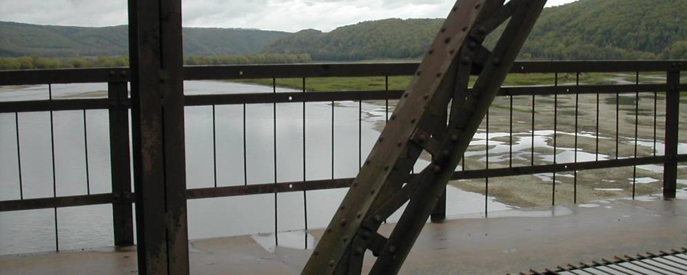 
            Фотография Вербки