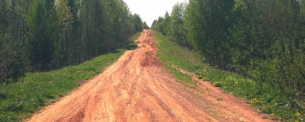 
            Фотография Кунгуровых