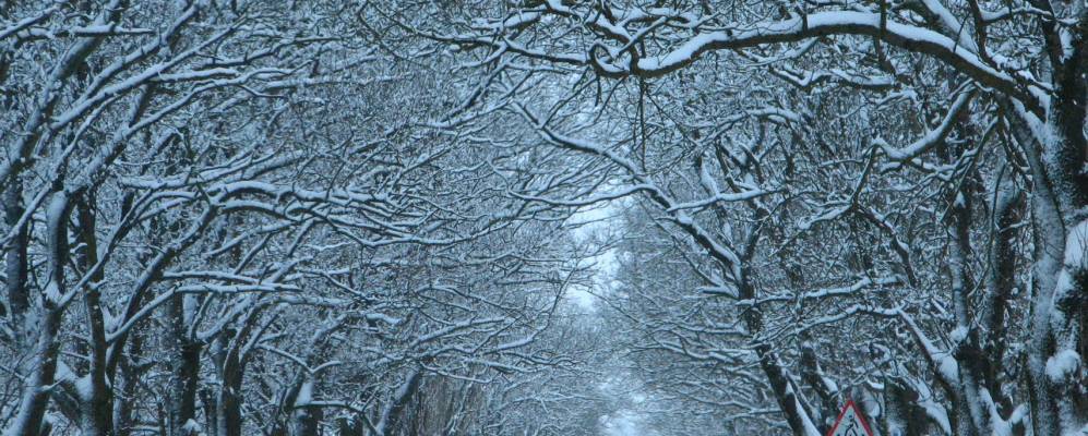 Фотография Весёлого