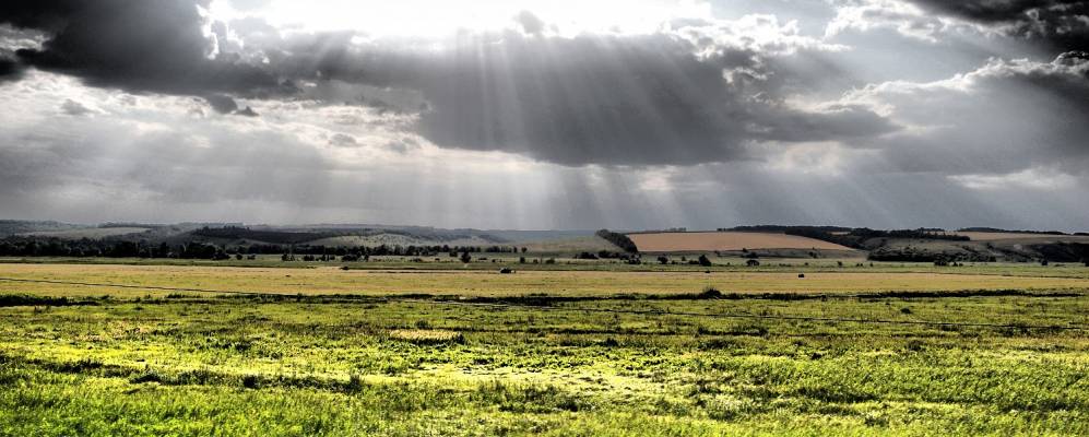 
            Фотография Постоялого