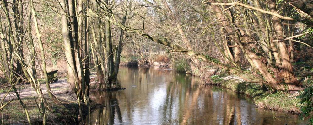 
            Фотография Мойсбурга