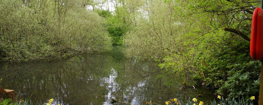 
            Фотография Водный Ортона
