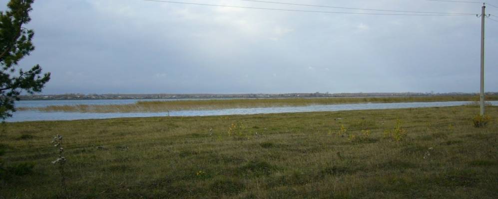 
            Фотография Утичья