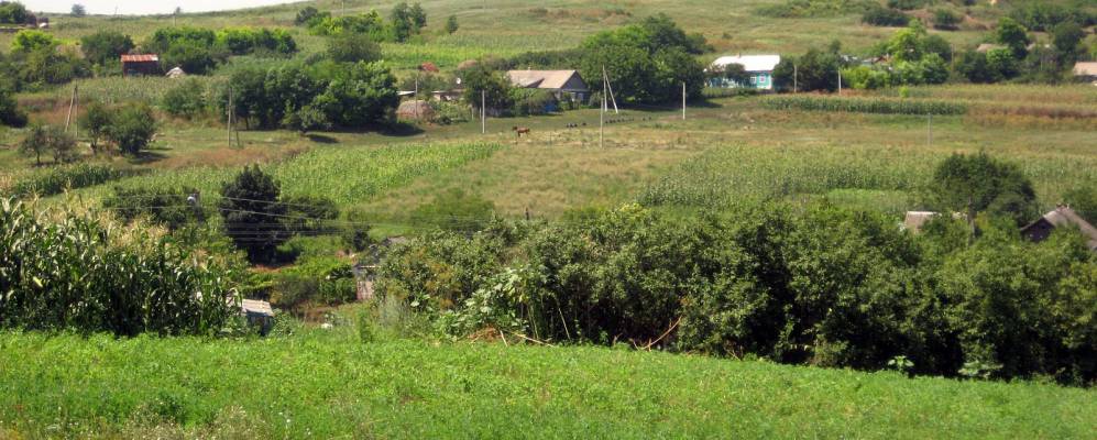 
            Фотография Василевки