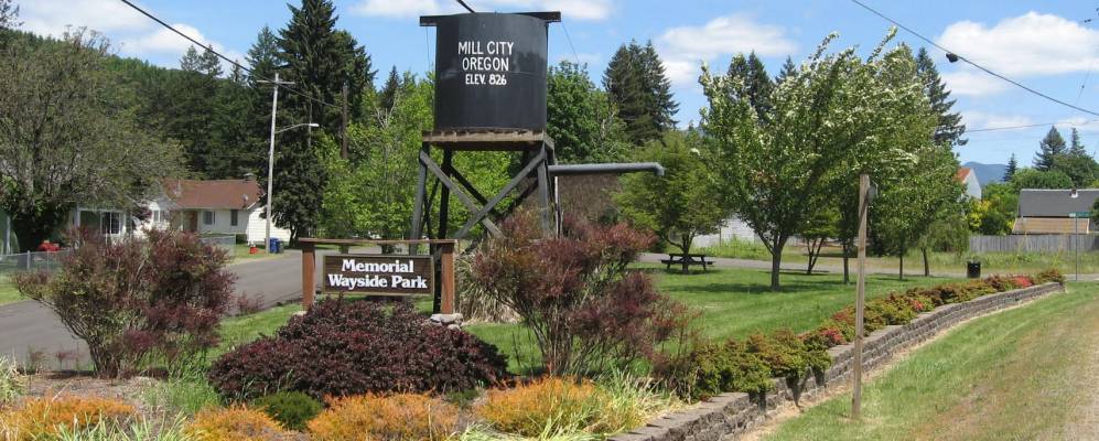 
            Фотография Милл Сити