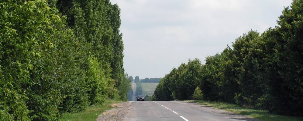 
            Фотография Сугаки