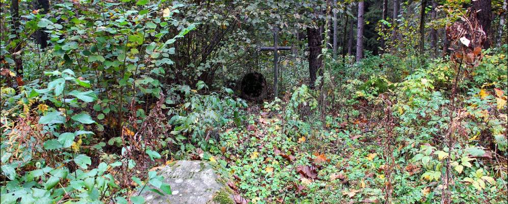 Фотография деревни Заборцы