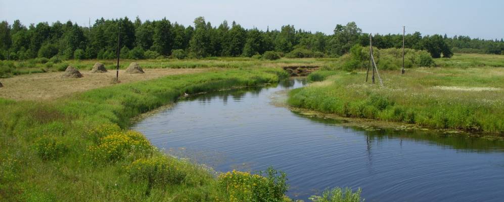 
            Фотография Туманура