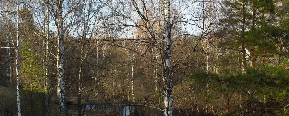 Фотография Левайцево