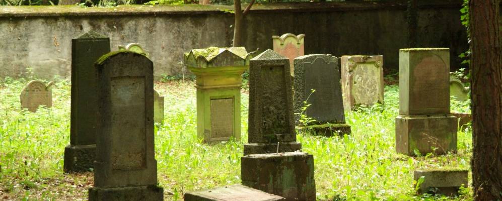 
            Фотография Хойзенштамма