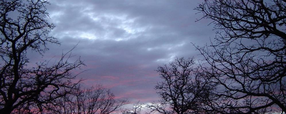 
            Фотография Рендона