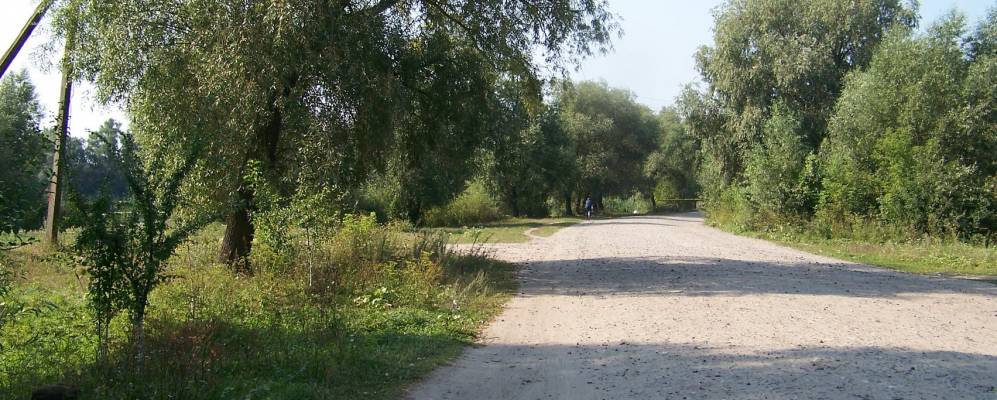 Фотография Комсомольской Коммуны