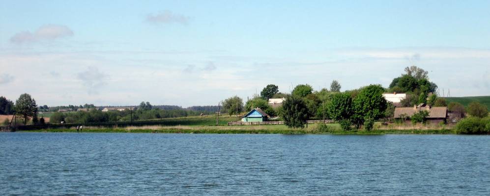 
            Фотография Жигалок