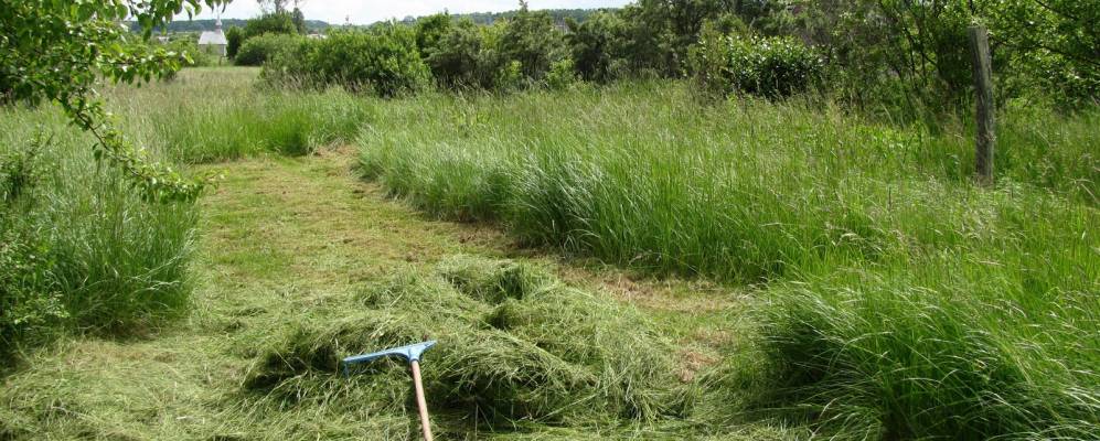 
            Фотография Сергеево