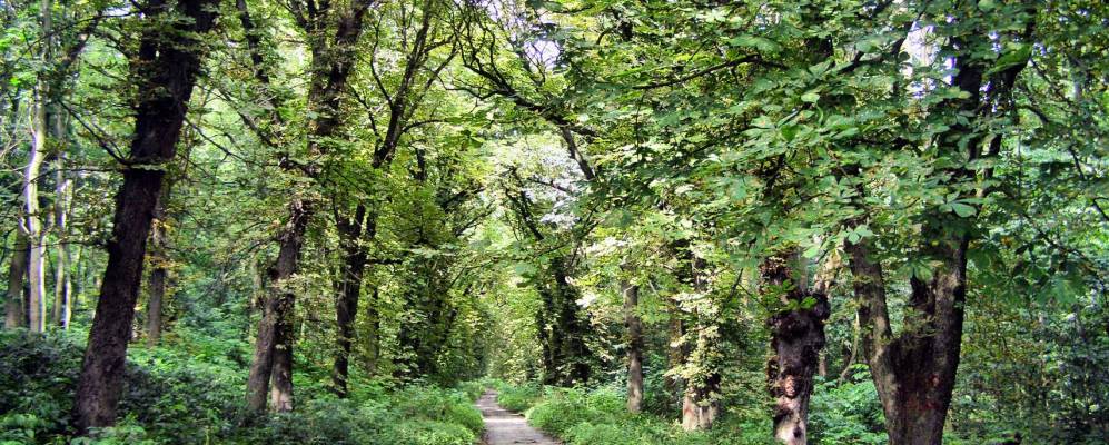 Фотография Згуровки